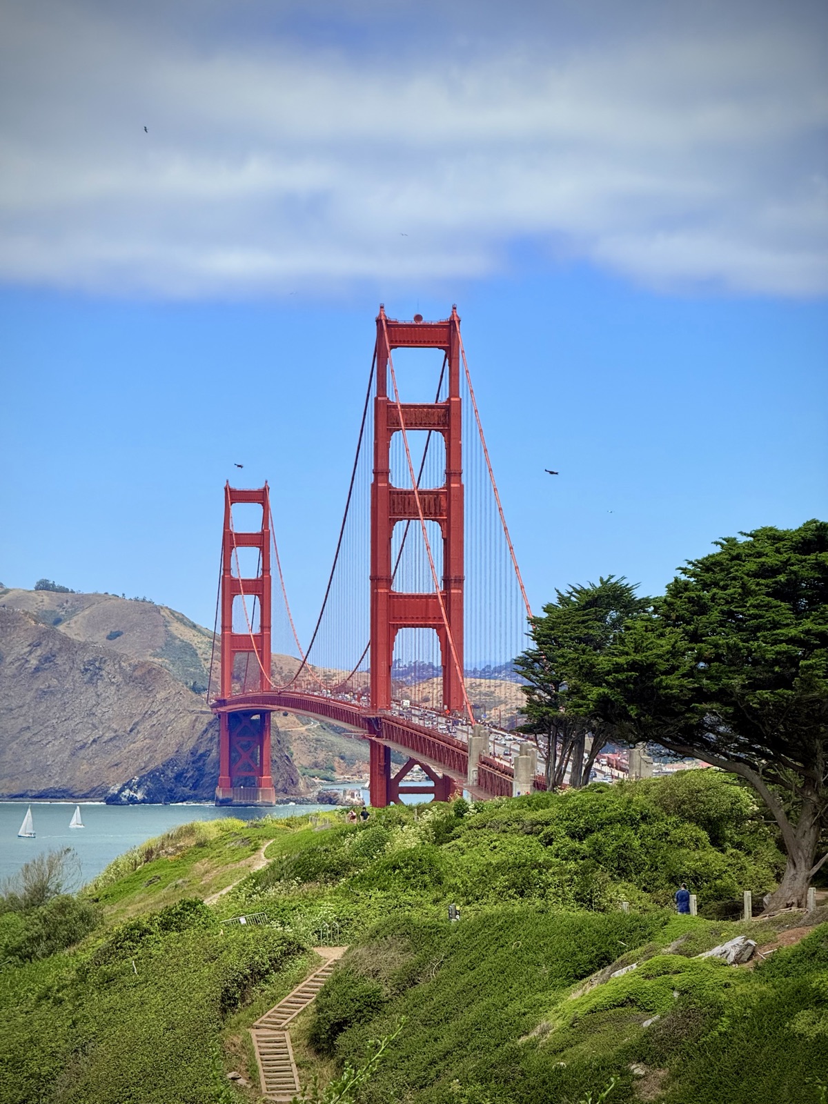 golden gate from the presidio · sf