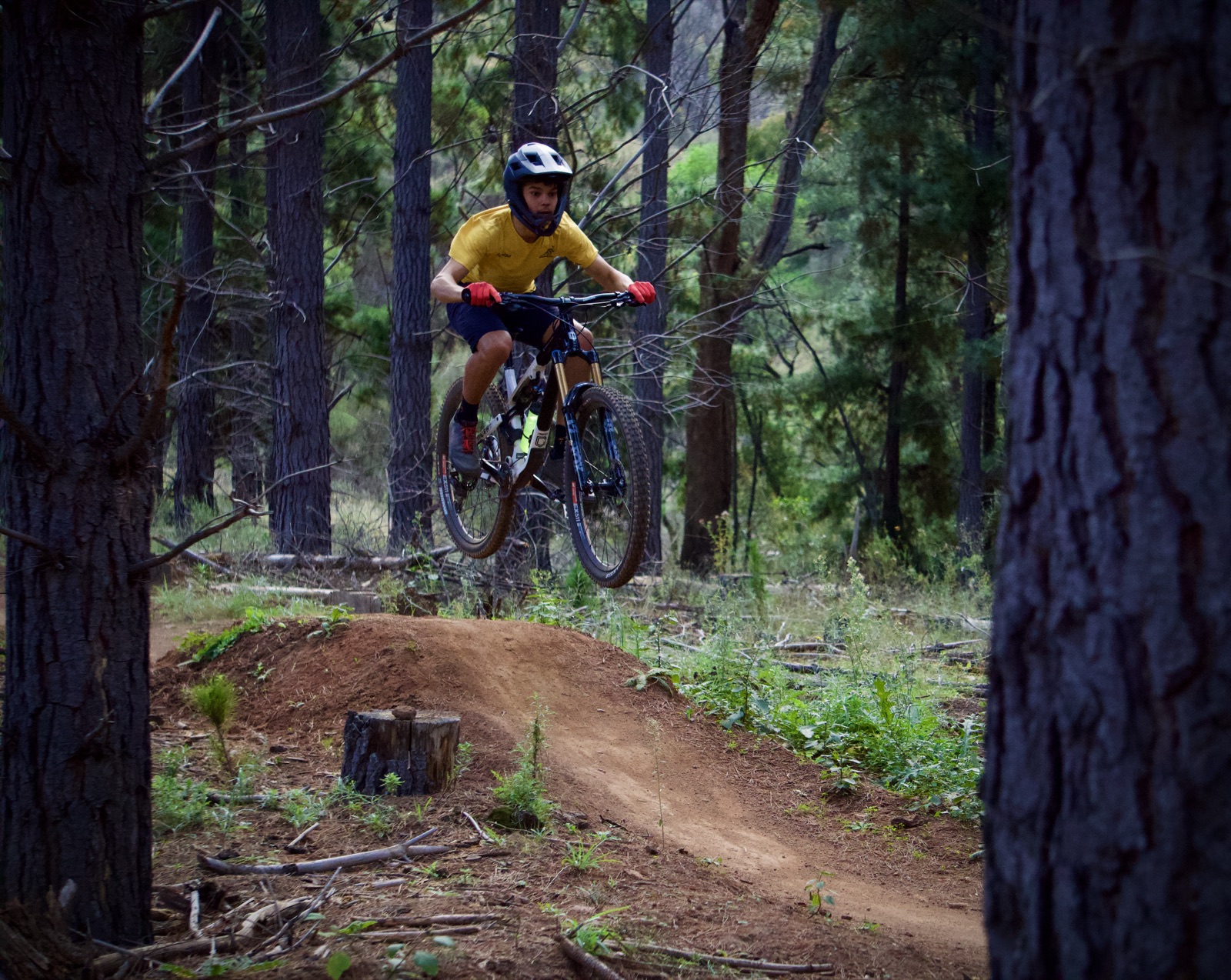 both wheels off · canberra pines