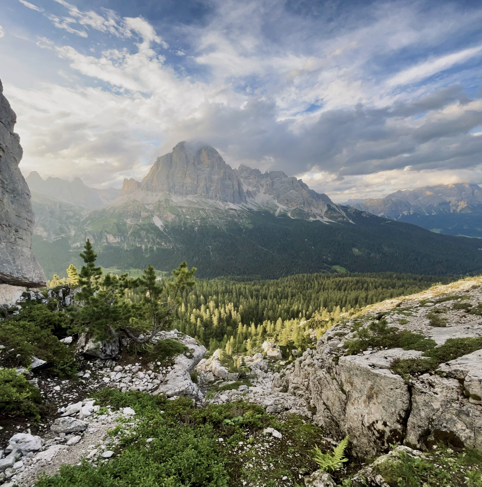 tofana di rozes · cortina