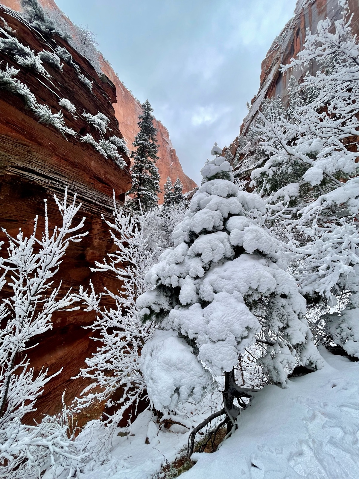 kolob canyon, frozen · zion
